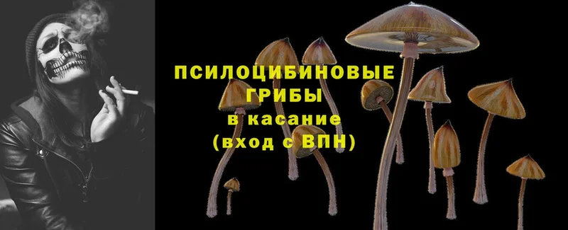 цена   shop формула  Галлюциногенные грибы Psilocybine cubensis  Асбест  omg как войти 